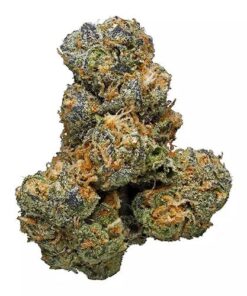 Orange Bud Legal High Weed Flower